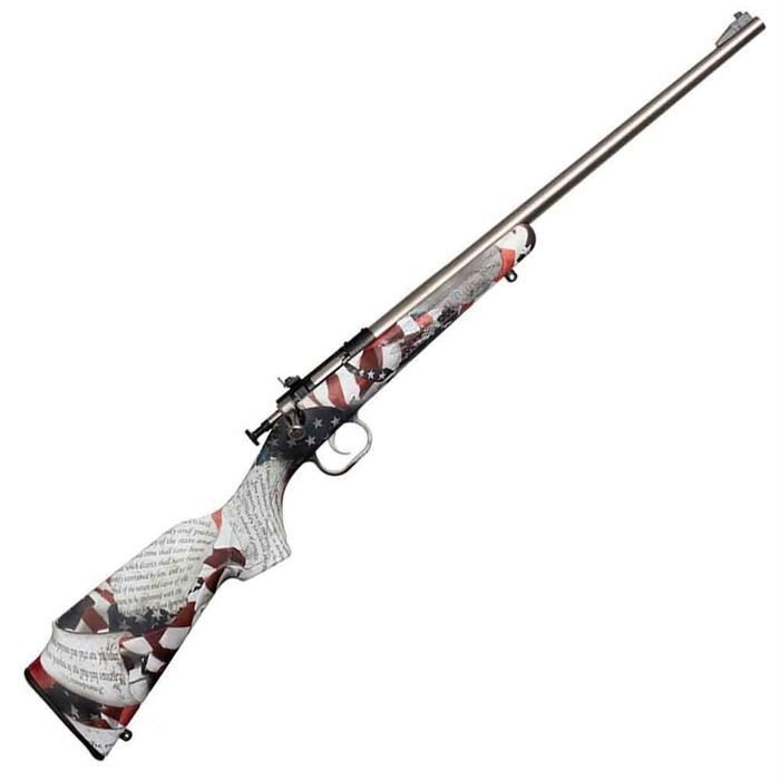 R67 Crickett Synthetic Stock Compact "Amendments" Dipped/Blued Bolt Action Rifle - 22 Long Rifle - 16.1in
